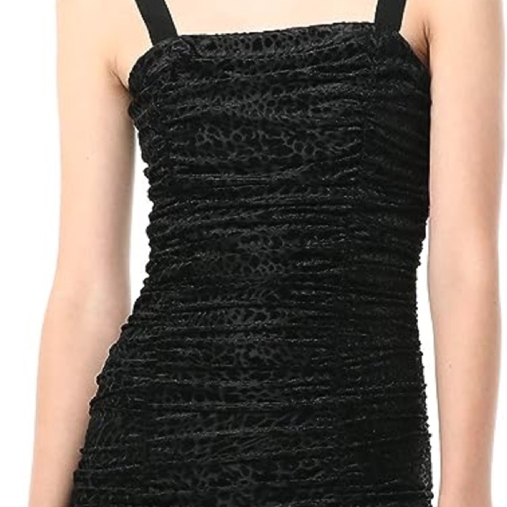 Likely dress. New with tags. Leopard burnout Alene dress.
